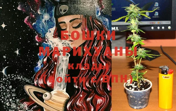 бошки Белокуриха