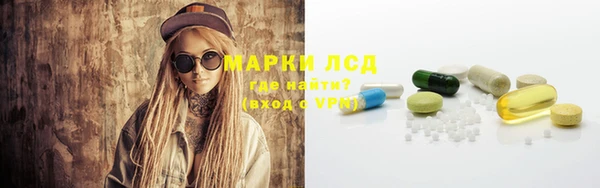 бошки Белокуриха