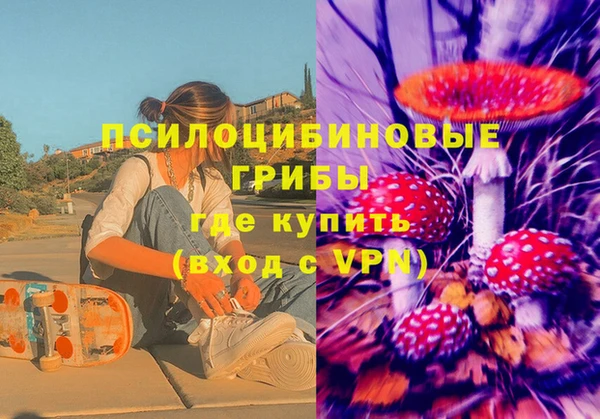 бошки Белокуриха
