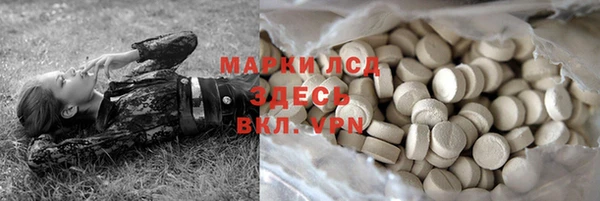 бошки Белокуриха